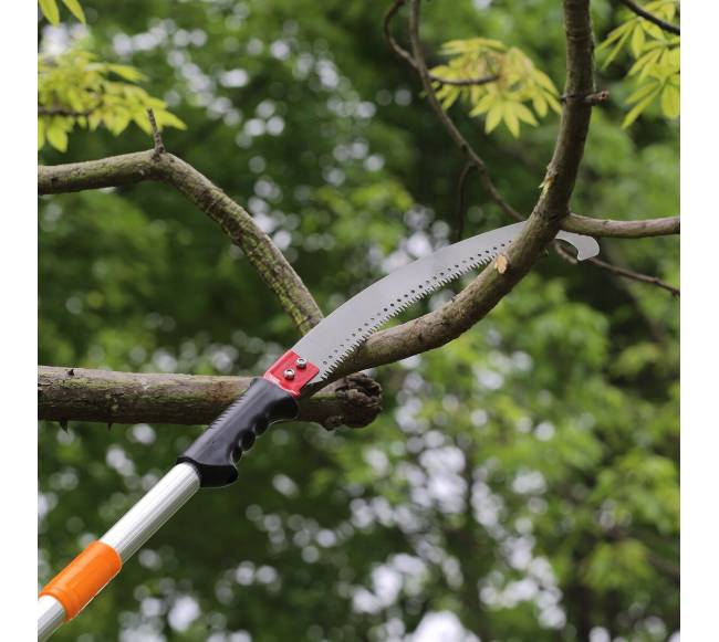 Teleskopinis pjūklas medžių šakoms genėti7