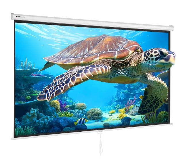 Rankinis projektoriaus ekranas 100 colių8
