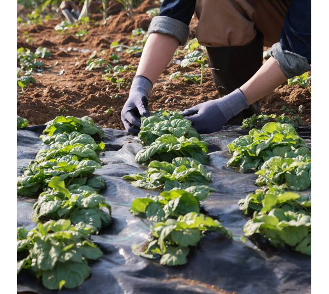 Geotekstilė nuo piktžolių, 1,2 x 30,5 m7