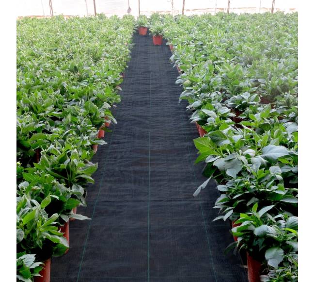 Piktžolių barjeras, geotekstilė sodui 0,9x91,4 m7