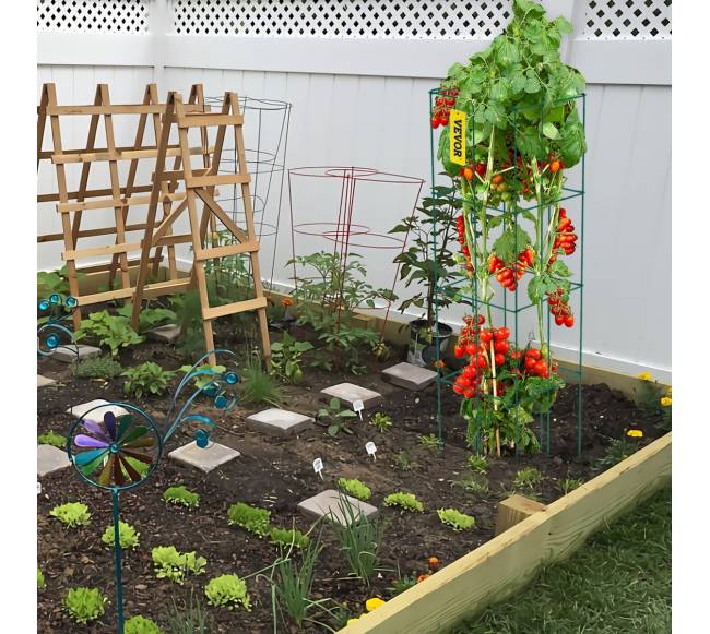 Pomidorų narveliai iš plieno su PVC danga7