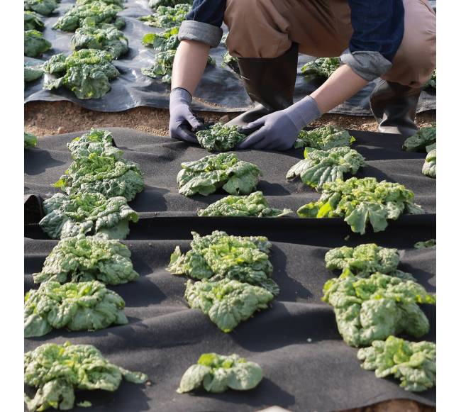 Neaustinė geotekstilė po žvyru, juoda7