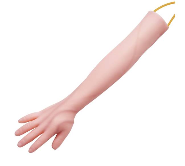 Flebotomijos treniruoklio rinkinys su laikymo krepšiu10