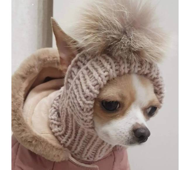 Smėlio spalvos šunų kepurė