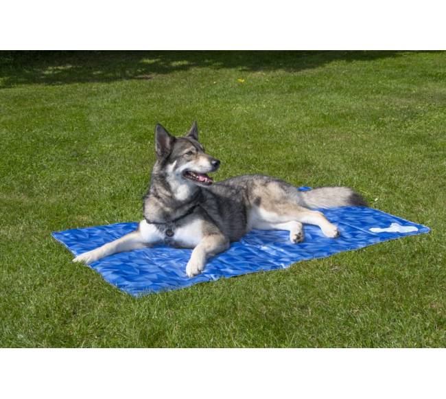Vėsinantis kilimėlis dideliems šunims, CoolPets Premium Cooling Mat M (90x60cm)2