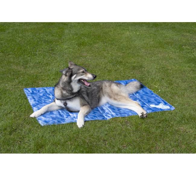 Vėsinantis kilimėlis dideliems šunims, CoolPets Premium Cooling Mat M (90x60cm)7